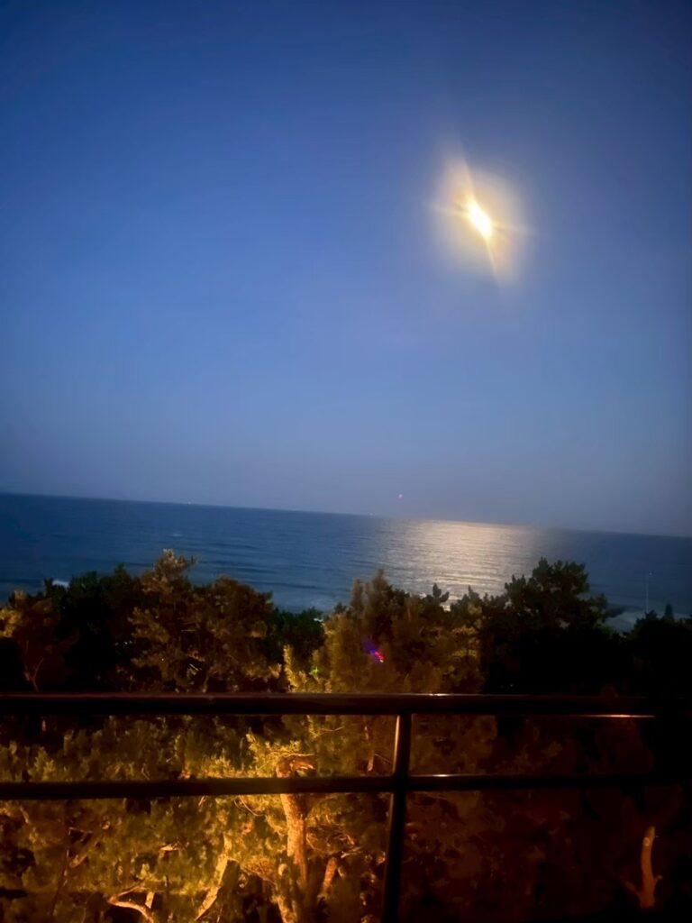 鴨川館のテラスから見た月夜の太平洋・満月が海面に反射